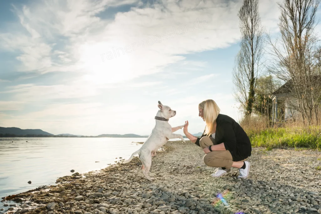 Hund gibt kniender Frau die Pfote in die Hand auf Steinen am Wasser. An einem sonnigen Tag.