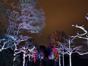Parkleuchten Grugapark Essen Rüttenscheid Februar 2020 Bäume Allee Lichtmalerei Querformat Weitwinkel Farbenmeer bunt wegweisend