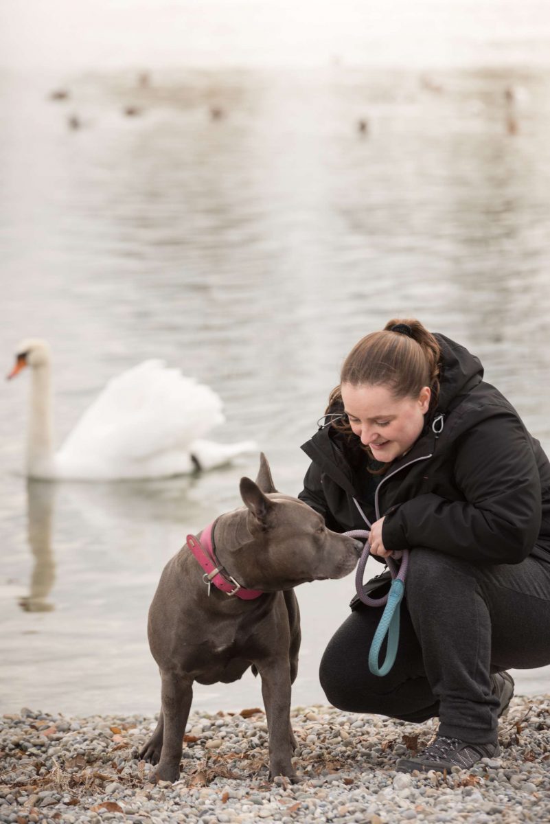 Hübsche Frau genießt ihre Freizeit in Konstanz mit Ihrem Hund. Im Hintergrund beobachtet ein Schwan vom Wasser den Moment.