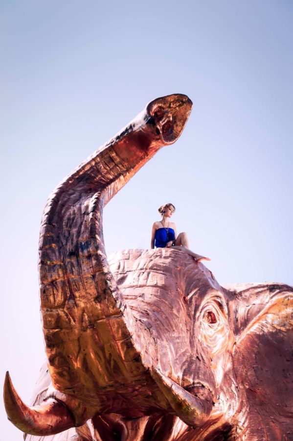 fotograf bodman elefant fotoshooting frau katha