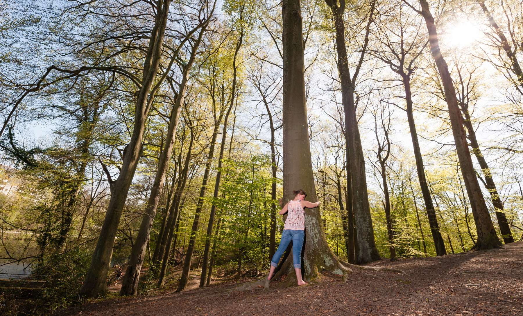 Lifestyle Shooting In Essen Margarethenhohe Wald Rainer Roessler De