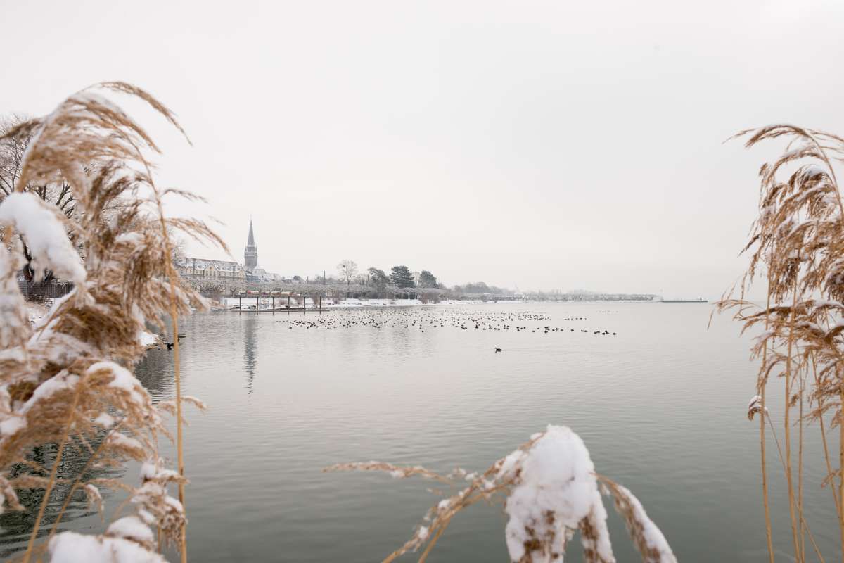 Stadt Radolfzell am Bodensee Schnee bedeckt im Winter
