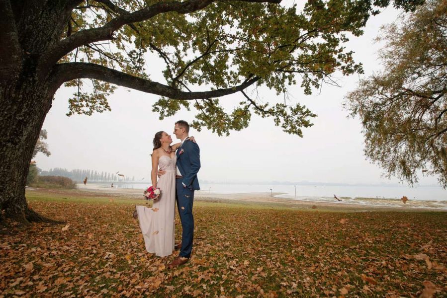 hochzeit moos strandbad bodensee brautpaar herbst blätter baum nebel fotoshooting fotograf